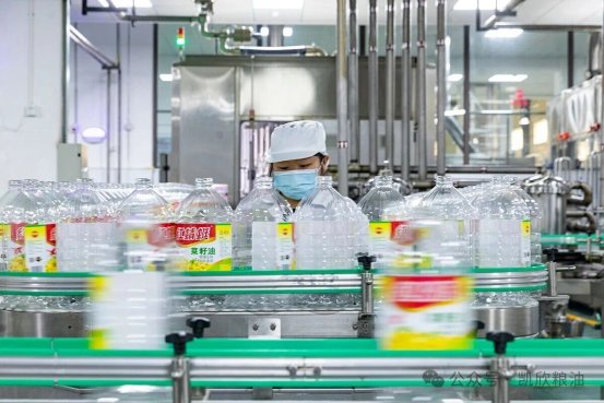 正规博彩平台大陆能玩的