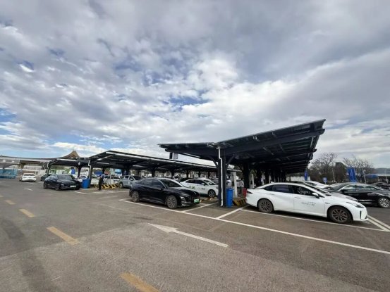 正规博彩平台大陆能玩的