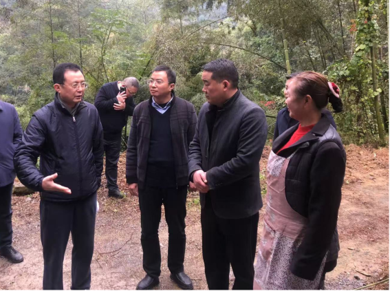 正规博彩平台大陆能玩的