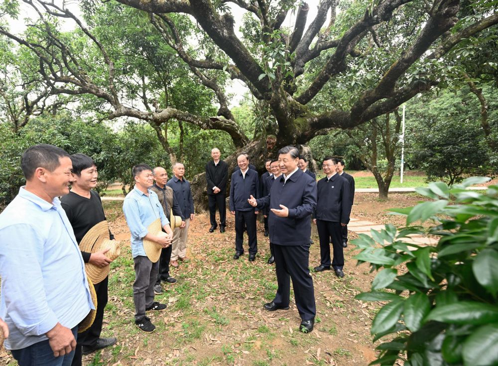 正规博彩平台大陆能玩的