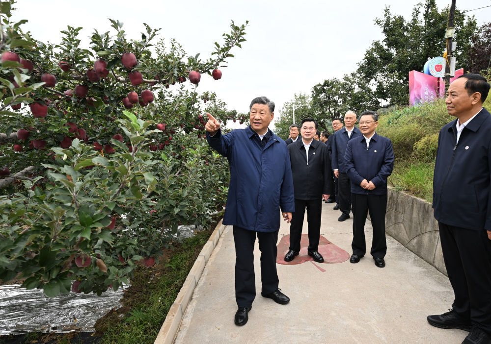 正规博彩平台大陆能玩的