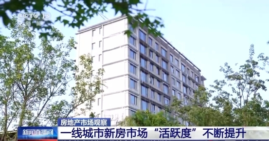 正规博彩平台大陆能玩的