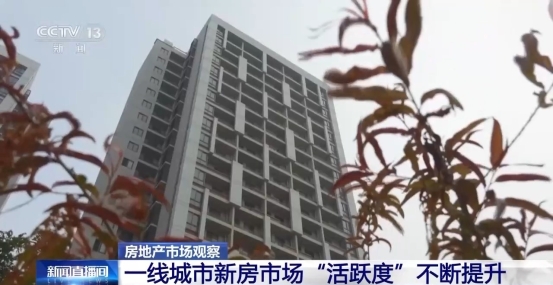 正规博彩平台大陆能玩的