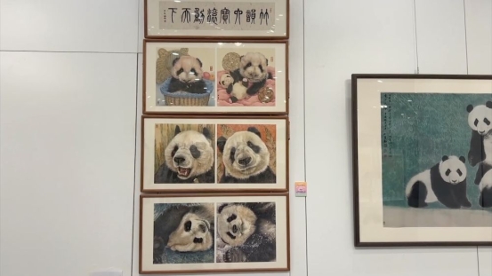 正规博彩平台大陆能玩的