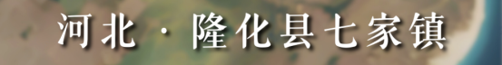 正规博彩平台大陆能玩的