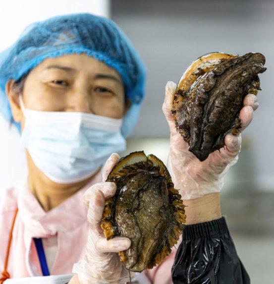 正规博彩平台大陆能玩的